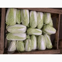 Продам пекінську капусту