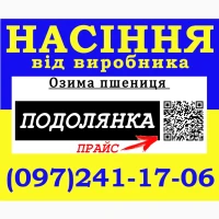 Озима пшениця Подолянка (еліта) 2026. Насіння від виробника