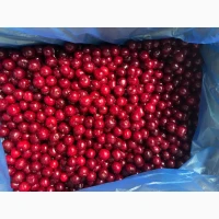 Продам свіжоморожену вишню