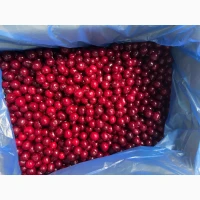 Продам свіжоморожену вишню
