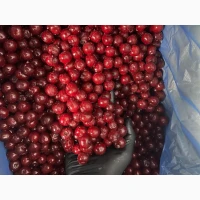 Продам свіжоморожену вишню