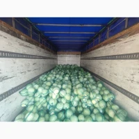 Продам капусту структа