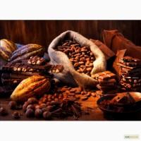 Какао порошок