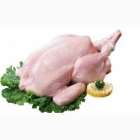 Продам мясо индюка оптом