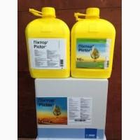 Піктор - незамiнний фунгіцид для стабільних врожаїв ріпаку та соняшнику