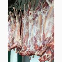 Тушки баранини