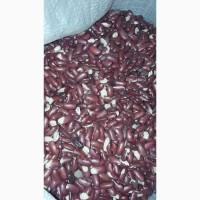 Продаємо квасолю на корм тваринам