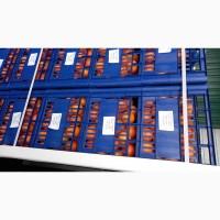 Мандарин, Гранат