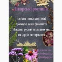 Насіння, саджанці, трава лікарських рослин