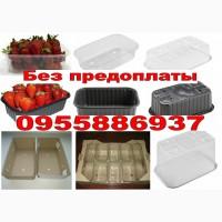 Купольный стакан с крышкой 500 400 300 200мл одноразовый бокал стаканчик для напитков ягод
