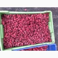 Продам заморожену малину від 20 тон