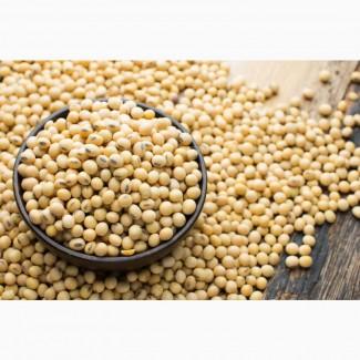 На постійній основі підприємство купує СОЮ!Максимальні ціни!Оплата на Вагах