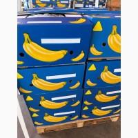 Банан Єгипет