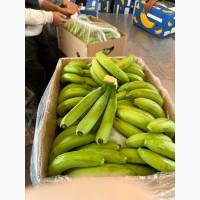 Банан Єгипет