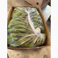 Банан Єгипет