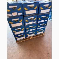 Банан Єгипет