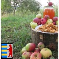 Яблочный уксус для волос: тайна здоровья и красоты