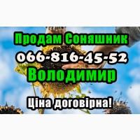 Реалізуєм насіння соняшника!ціна формується від обсягу замовлення