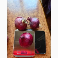 Продаж цибулі на перо