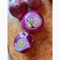 Продаж цибулі на перо