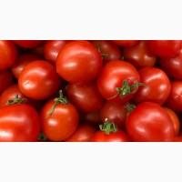 Купуємо помідори (томати)