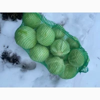 Продам капусту
