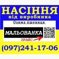 Озима пшениця Мальованка (еліта) 2026. Насіння від виробника
