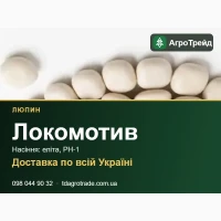 Насіння люпину Локомотив: еліта, РН-1, доставка по Україні