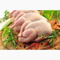 Продам мясо курятина оптом (Наша ряба)