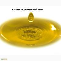 Куриный жир технический. Закупаем все виды технических жиров