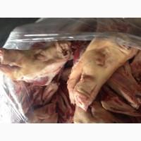 Куплю свиные и говяжие субпродукты ДОРОГО