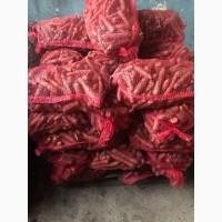 Продам моркву (морковь) по 13 грн! Киев. от 1 тонны