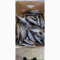Продам тарань вяленную 125грн/кг. 130грн/кг. 170грн/кг. Опт