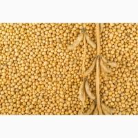 Куплю Cою опт