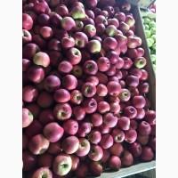 Продам якісні яблука з холодильника, смарт фреш