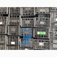 Продам ящики пластиковые мандариновые