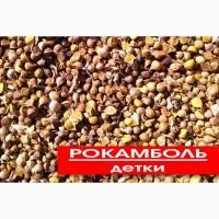 Рокамболь семена детки слоновий гигантский лук-чеснок часник купити