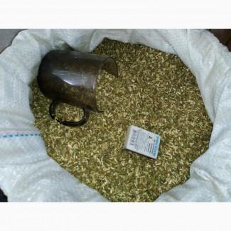 Куплю у вас САМОСАД-МАХОРКУ 9000грн