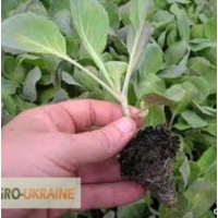 До продажу