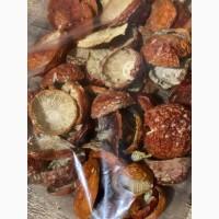 Шапочка червоного мухомора сушений червоний мухомор