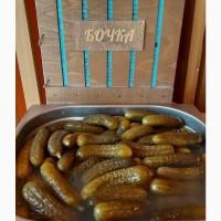 Огірок бочковий, солений