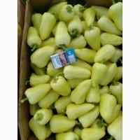Продам перець сорт Білозерка