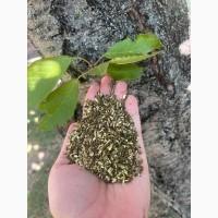 Традиційна самосадна махорка: справжній український продукт