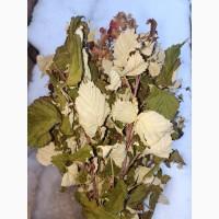 Продам сушане листя малини, букет малини сушаний