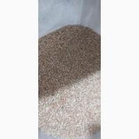 Гречка нежарена