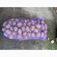 Продамо картоплю Білороса