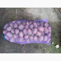 Продамо картоплю Білороса