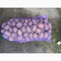 Продамо картоплю Білороса
