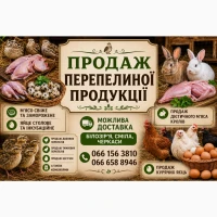 Продам перепелину продукцію яйце мясо