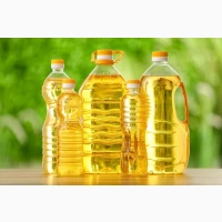 Продам подсолнечное масло рафинированное